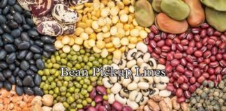 Bean Pickup Lines Bean Pickup Lines