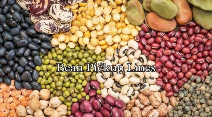 Bean Pickup Lines Bean Pickup Lines