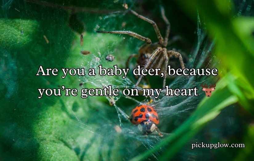 Biodiversity Rizz Lines