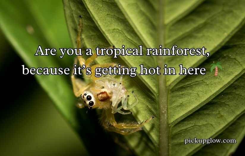 Biodiversity Rizz Lines