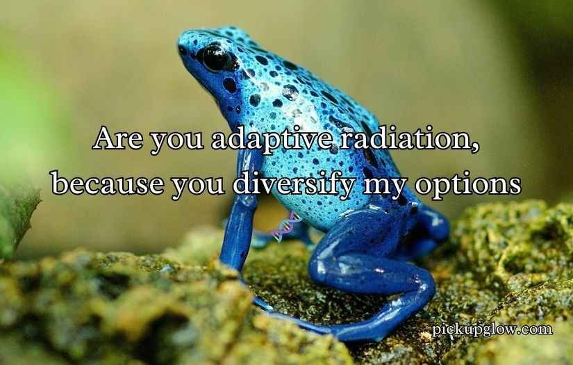 Biodiversity Rizz Lines