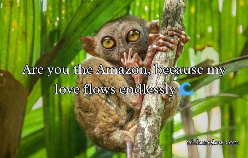 Biodiversity Rizz Lines