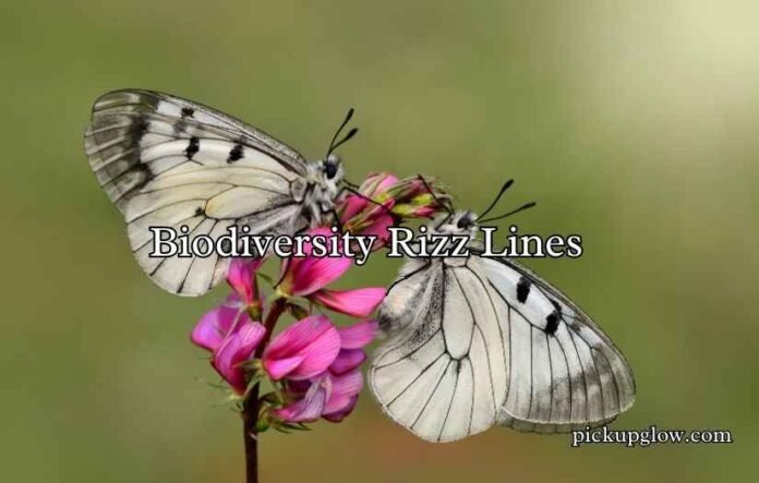Biodiversity Rizz Lines