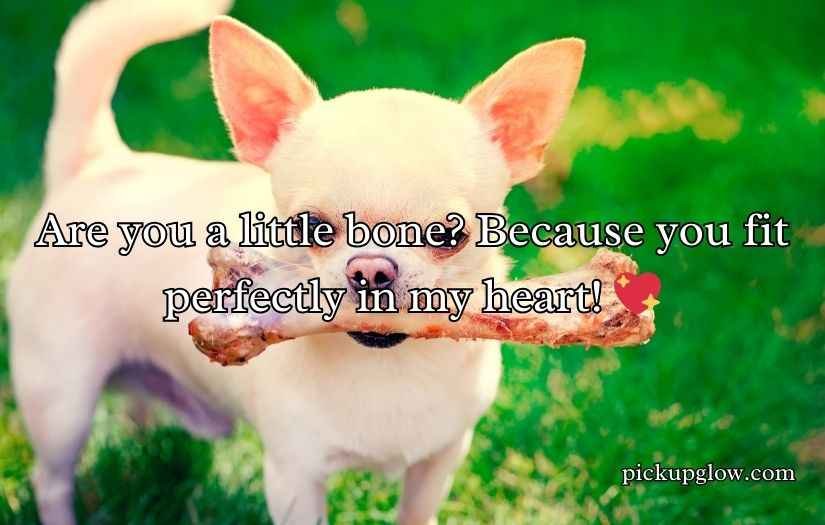 Bone Pick Up Lines and Rizz