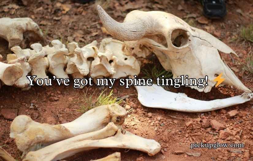 Bone Pick Up Lines and Rizz