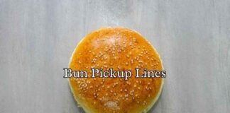 Bun Pickup Lines Bun Pickup Lines