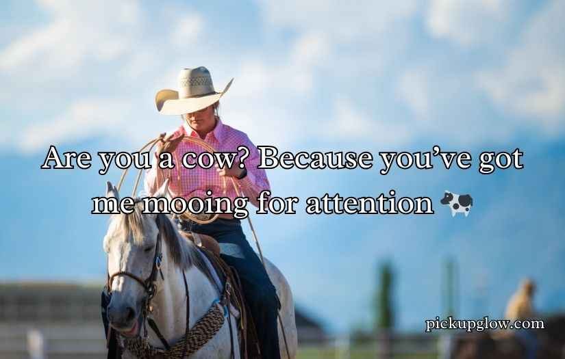 Cowgirl Pickup Line