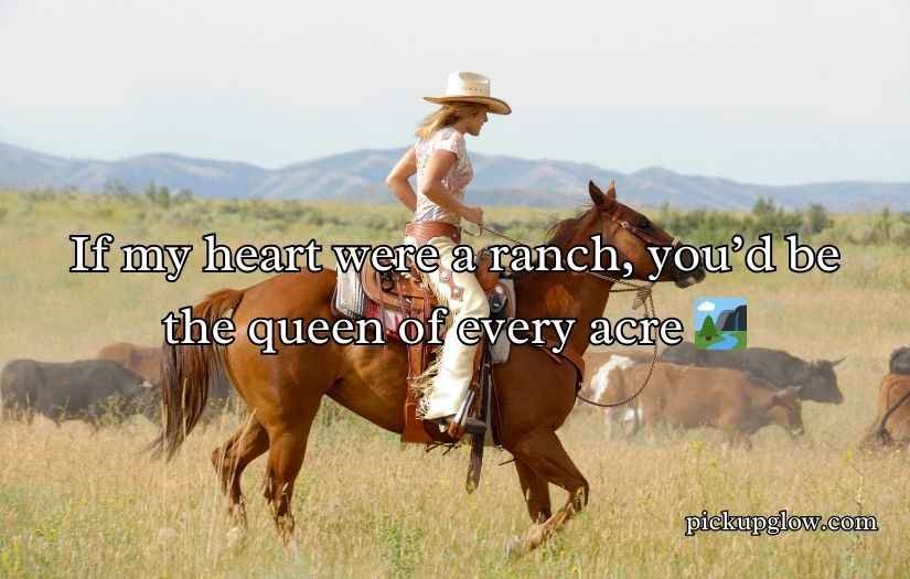 Cowgirl Pickup Line