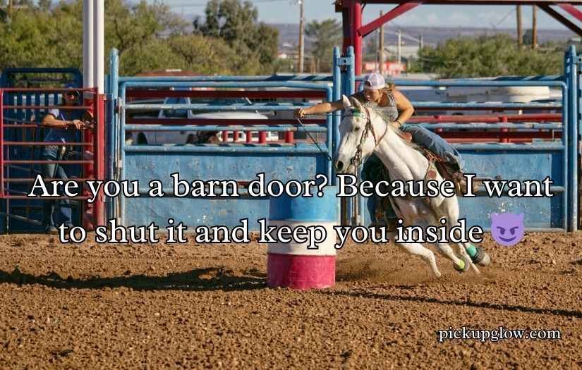 Cowgirl Pickup Line