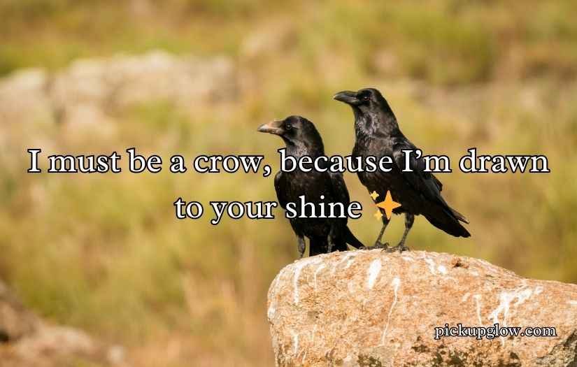 Crow Pickup Lines