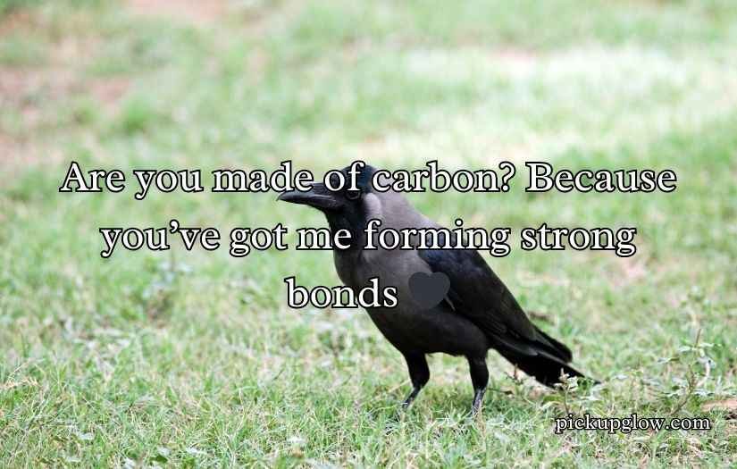 Crow Pickup Lines