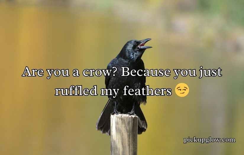Crow Pickup Lines