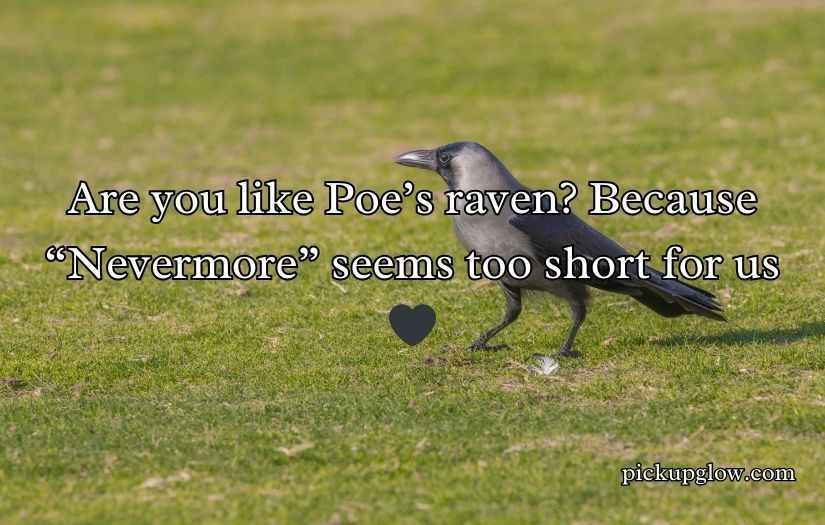 Crow Pickup Lines