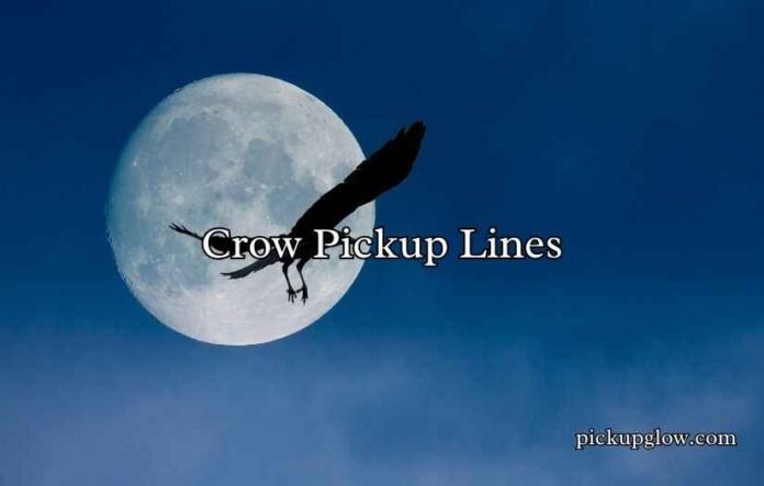 Crow Pickup Lines