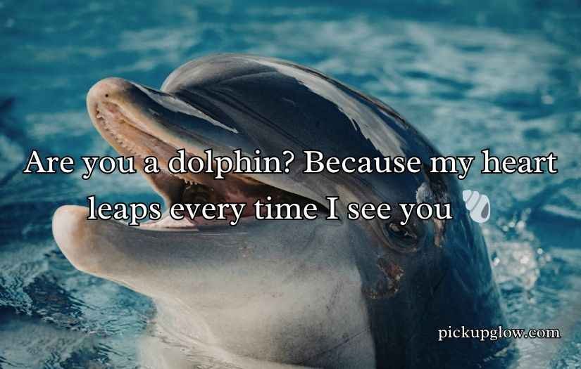 Dolphin Pick Up Lines