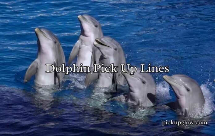 Dolphin Pick Up Lines