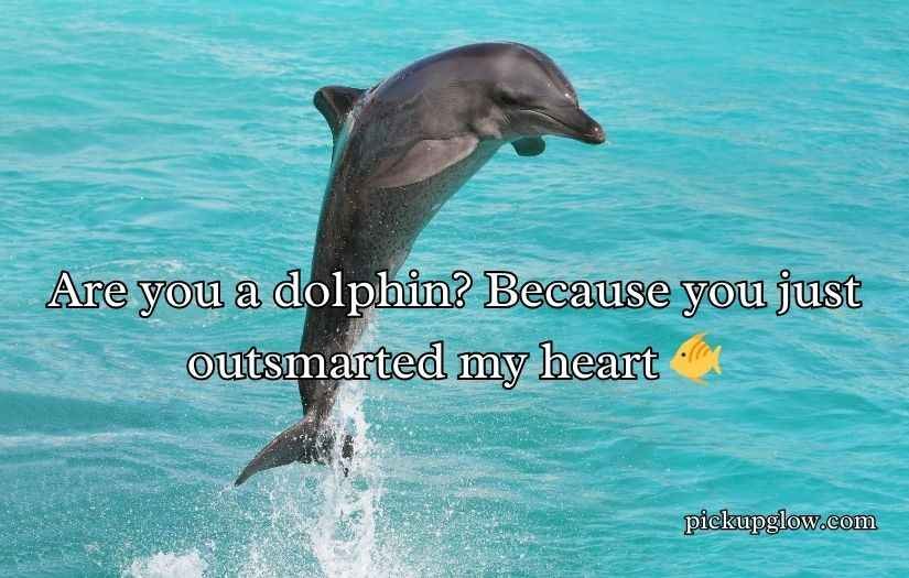 Dolphin Pick Up Lines