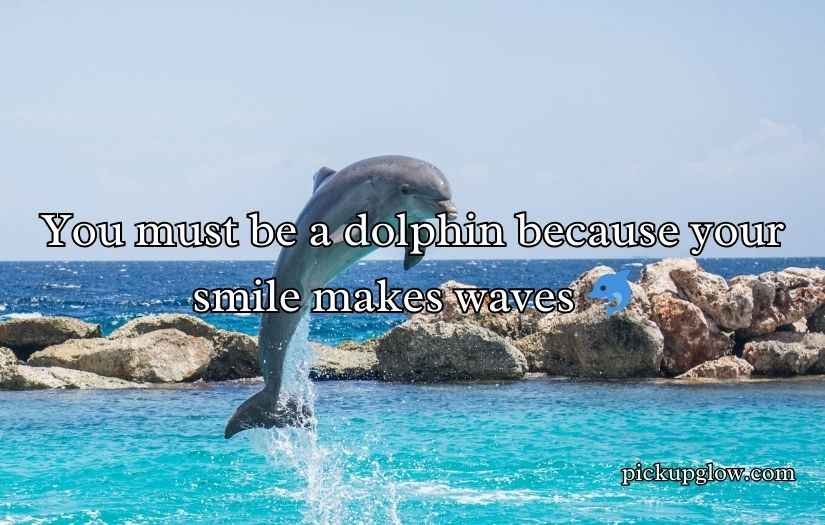 Dolphin Pick Up Lines