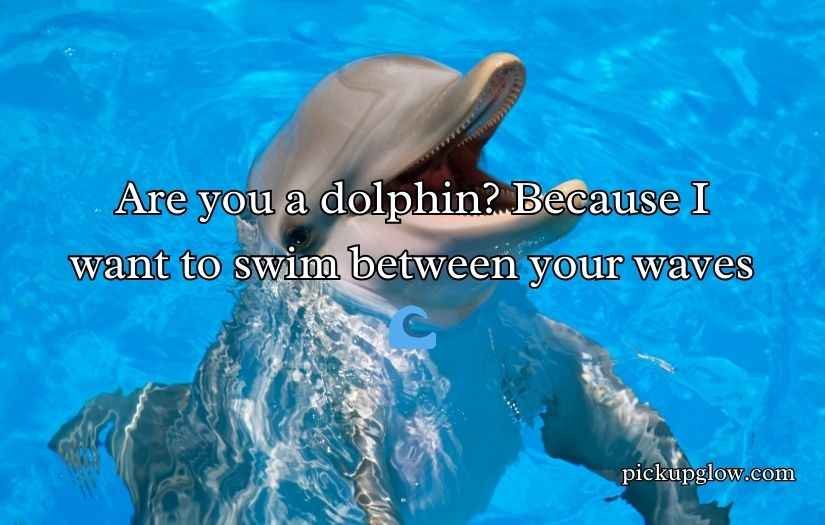 Dolphin Pick Up Lines