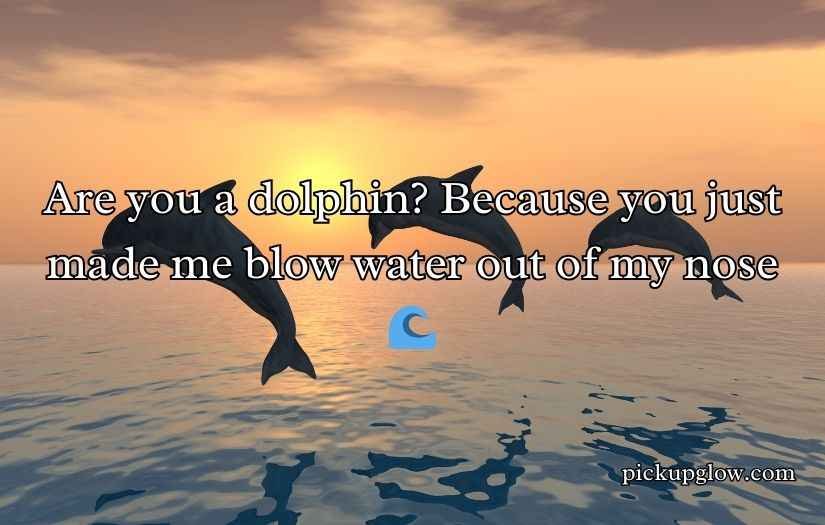 Dolphin Pick Up Lines