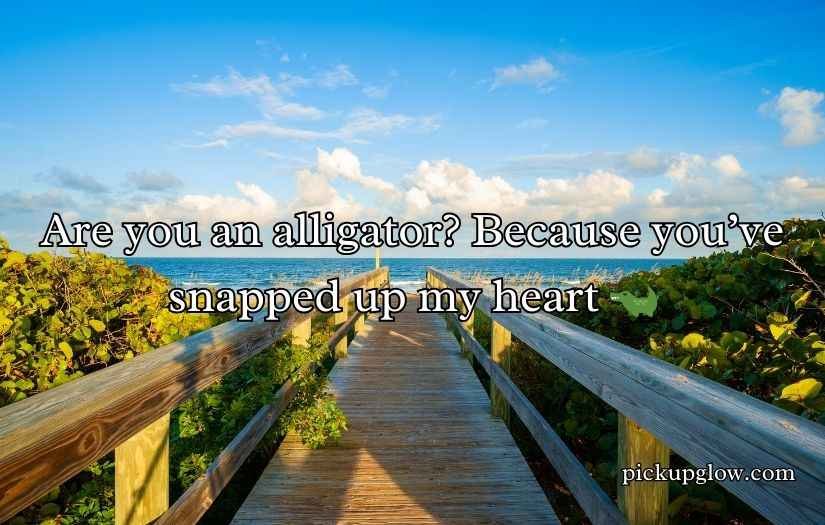 Florida Pick Up Lines