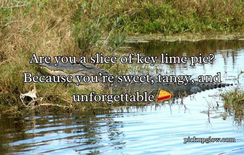 Florida Pick Up Lines