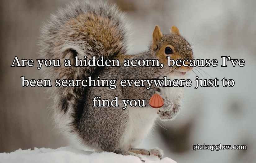 Funny Squirrel Pick Up Lines