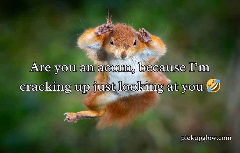 Funny Squirrel Pick Up Lines