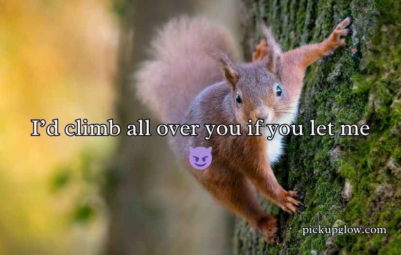 Funny Squirrel Pick Up Lines