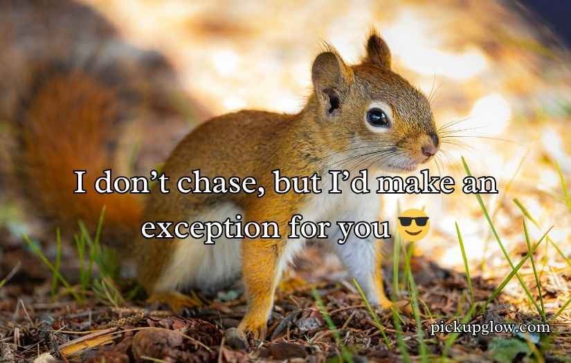 Funny Squirrel Pick Up Lines