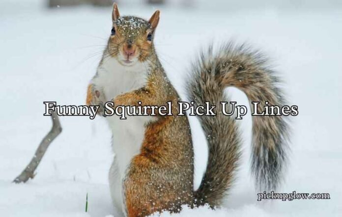 Funny Squirrel Pick Up Lines