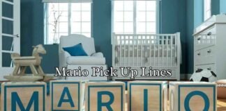 Mario Pick Up Lines Mario Pick Up Lines