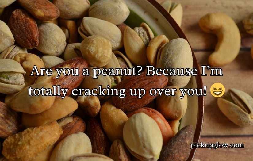 Nuts Pickup Lines