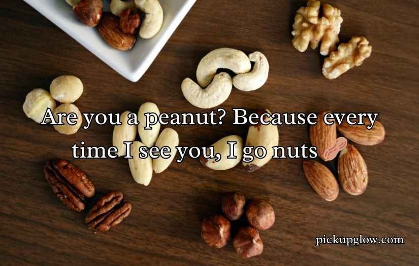 Nuts Pickup Lines