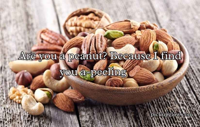 Nuts Pickup Lines
