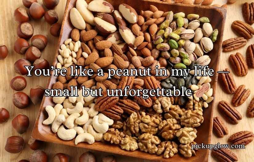 Nuts Pickup Lines