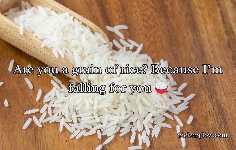 Rice Pick Up Lines