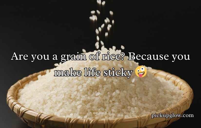 Rice Pick Up Lines
