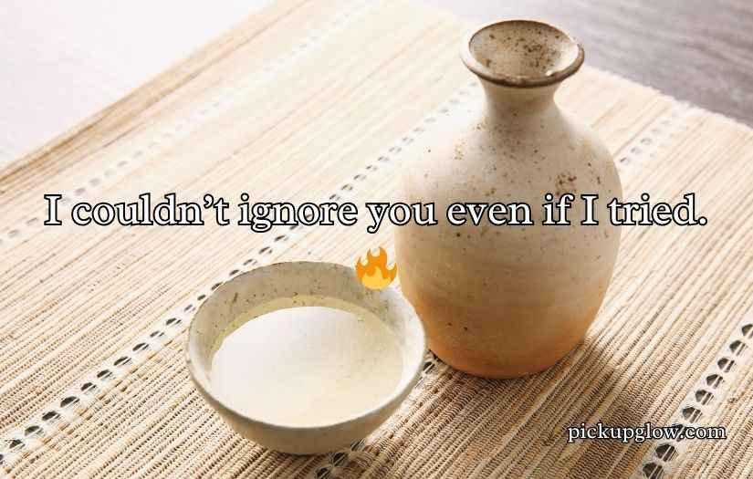 Sake Pickup Lines