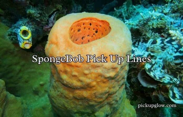 SpongeBob Pick Up Lines