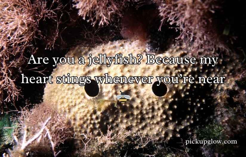 SpongeBob Pick Up Lines