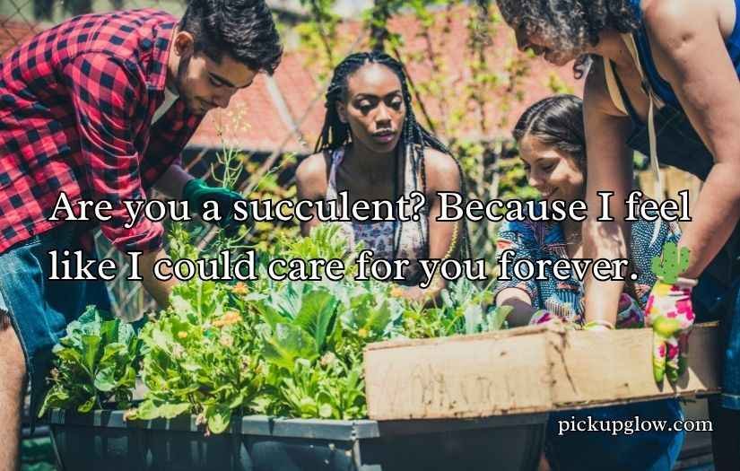 Urban Gardening Rizz Lines