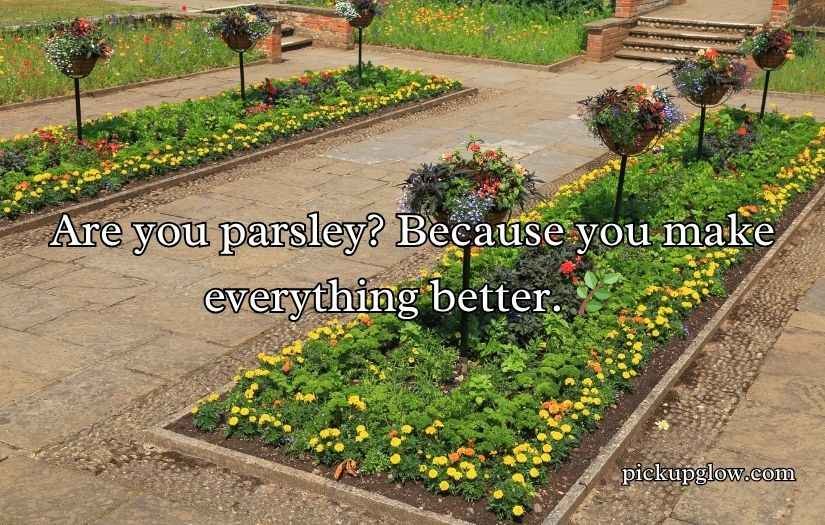 Urban Gardening Rizz Lines