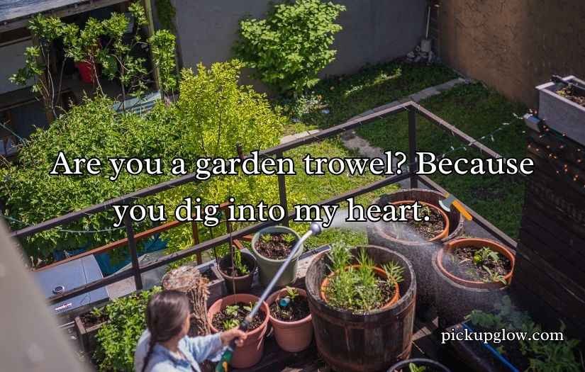 Urban Gardening Rizz Lines