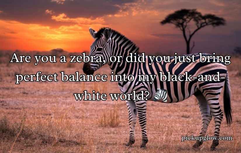 Zebra Pickup Lines