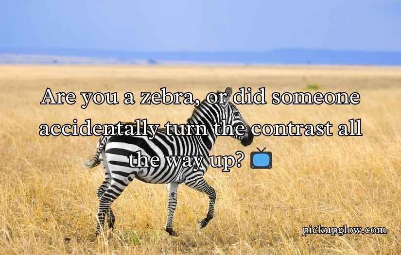 Zebra Pickup Lines