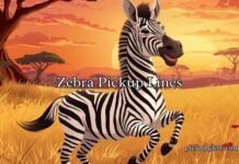 Zebra Pickup Lines Zebra Pickup Lines