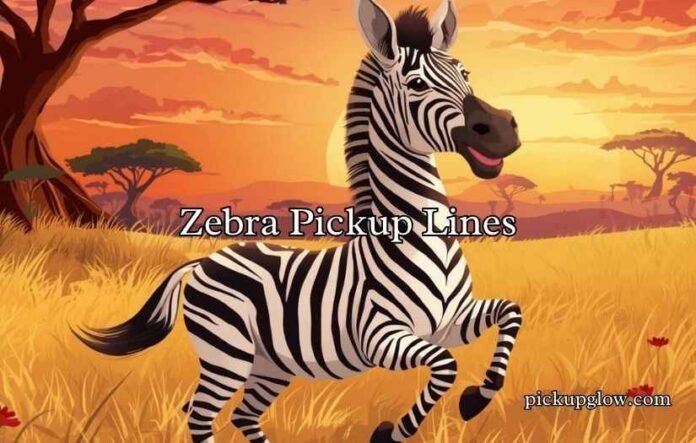Zebra Pickup Lines