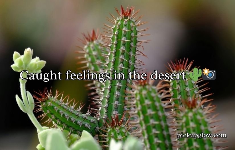 Cactus Pick Up Lines