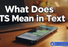 What Does TS Mean in Text What Does TS Mean in Text